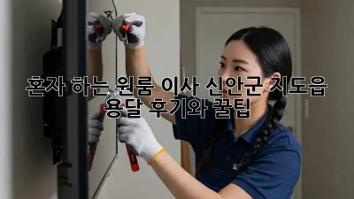 혼자 하는 원룸 이사? 신안군 지도읍 용달 후기와 꿀팁!