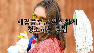 새집증후군, 확실하게 청소하는 방법!
